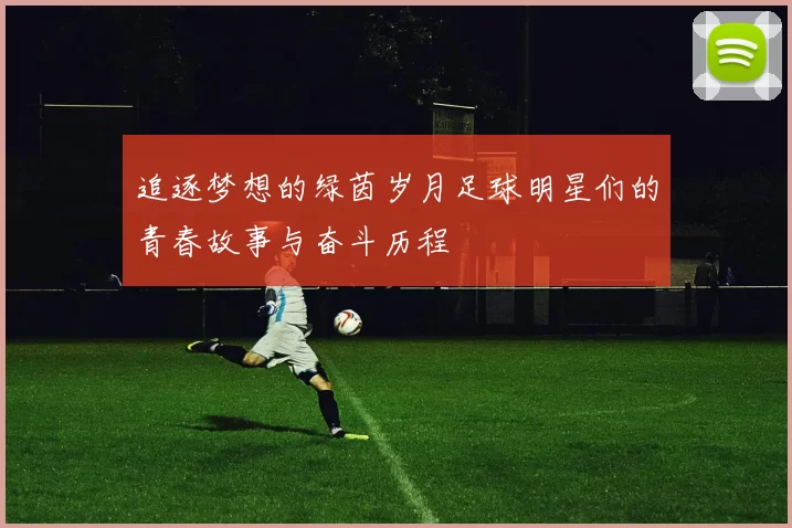 追逐梦想的绿茵岁月足球明星们的青春故事与奋斗历程