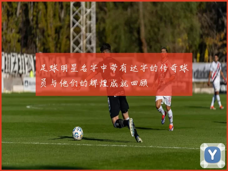 足球明星名字中带有达字的传奇球员与他们的辉煌成就回顾