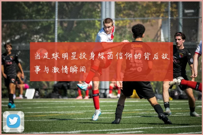 当足球明星投身绿茵信仰的背后故事与激情瞬间