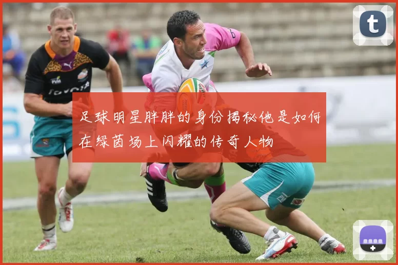 足球明星胖胖的身份揭秘他是如何在绿茵场上闪耀的传奇人物