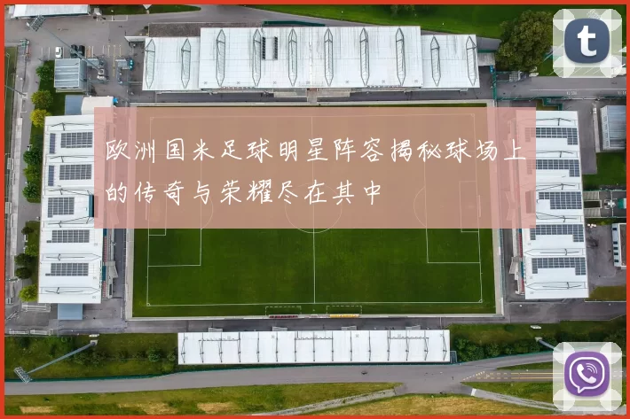 欧洲国米足球明星阵容揭秘球场上的传奇与荣耀尽在其中