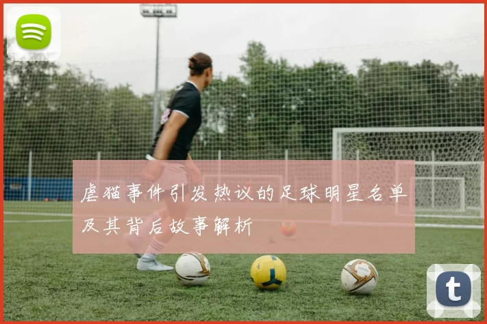 虐猫事件引发热议的足球明星名单及其背后故事解析