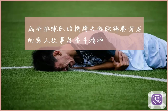 成都排球队的拼搏之路欧锦赛背后的感人故事与奋斗精神