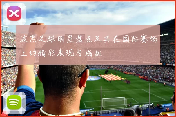 波黑足球明星盘点及其在国际赛场上的精彩表现与成就