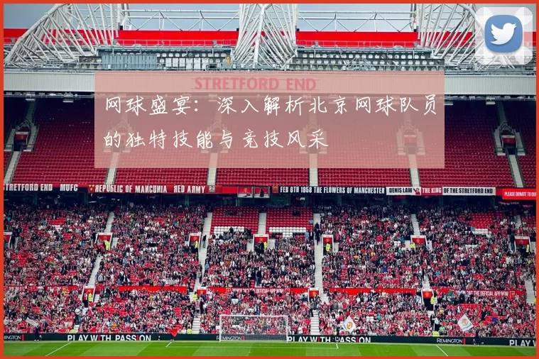 网球盛宴：深入解析北京网球队员的独特技能与竞技风采