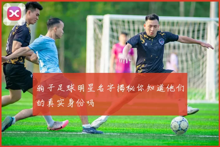 狗子足球明星名字揭秘你知道他们的真实身份吗
