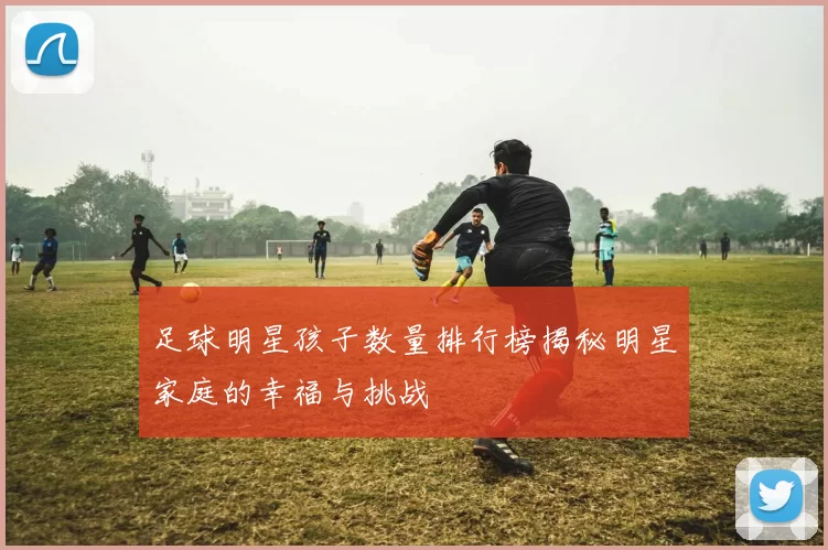 足球明星孩子数量排行榜揭秘明星家庭的幸福与挑战