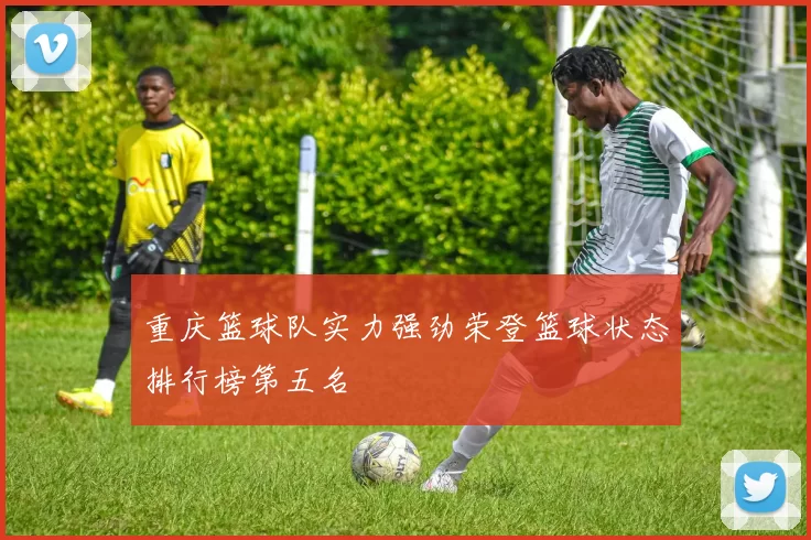 重庆篮球队实力强劲荣登篮球状态排行榜第五名
