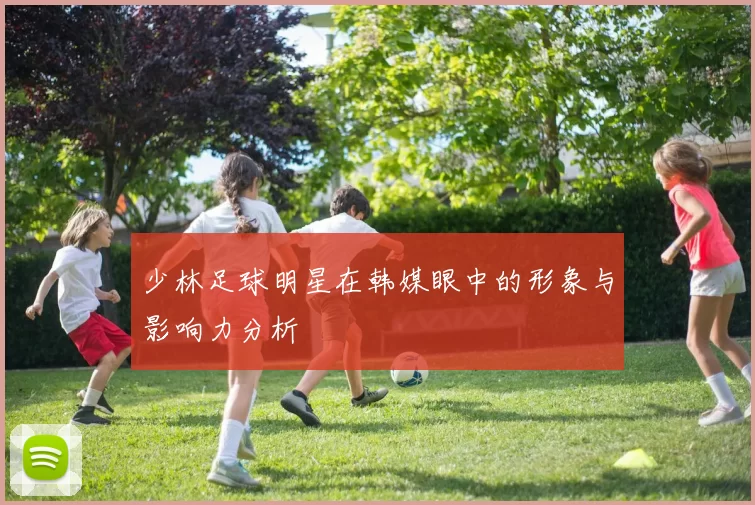 少林足球明星在韩媒眼中的形象与影响力分析