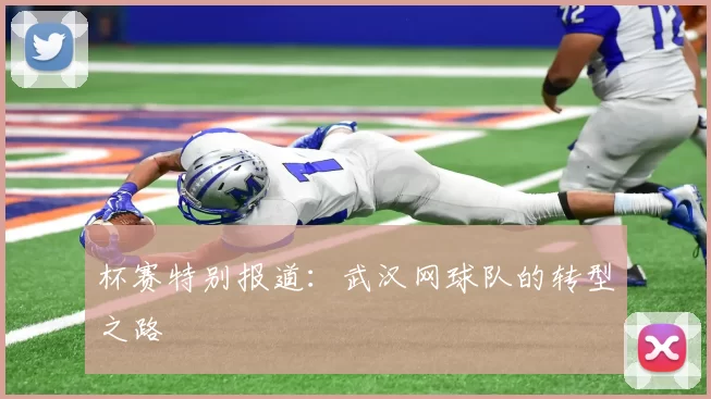 杯赛特别报道：武汉网球队的转型之路