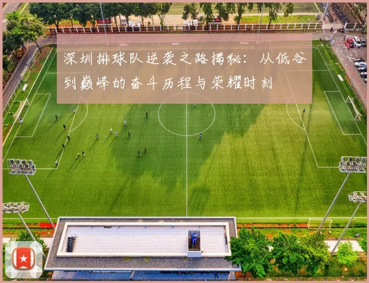 深圳排球队逆袭之路揭秘：从低谷到巅峰的奋斗历程与荣耀时刻