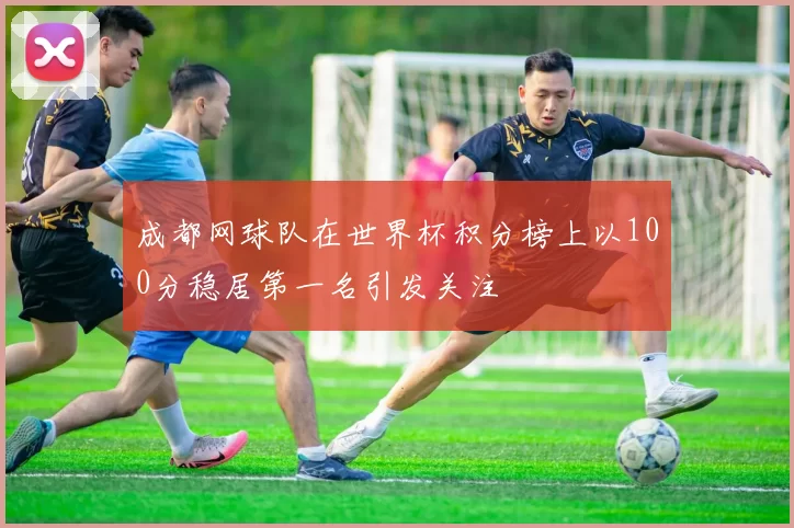成都网球队在世界杯积分榜上以100分稳居第一名引发关注